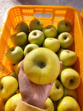 하늘아래사과나무님의 작성글 사진