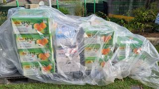 오주연님의 자유주제 · 자유게시판 작성글 사진