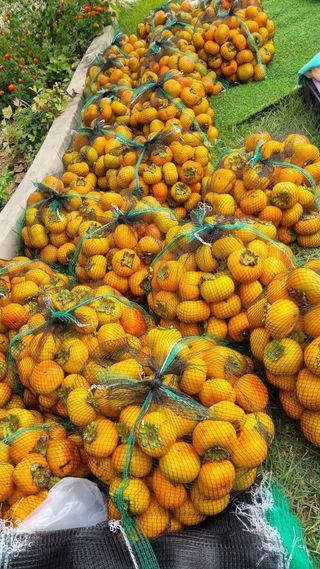 오주연님의 자유주제 · 자유게시판 작성글 사진