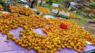 오주연님의 자유주제 · 자유게시판 작성글 사진