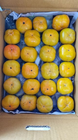 오주연님의 자유주제 · 자유게시판 작성글 사진