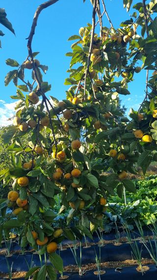 오주연님의 자유주제 · 자유게시판 작성글 사진