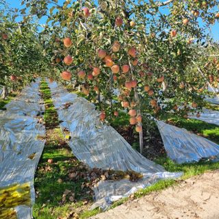황대규님의 작성글 사진