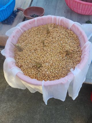 옥천서화농님의 자유주제 · 자유게시판 작성글 사진