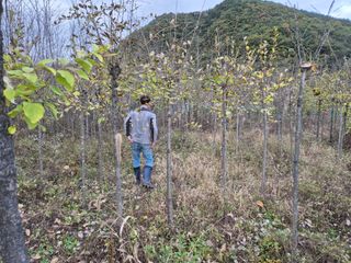 기중권님의 자유주제 · 자유게시판 작성글 사진