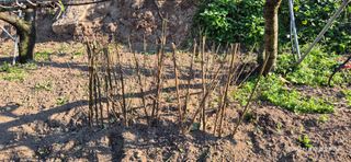 달맛햇복숭아농원님의 복숭아 · 영농일지 작성글 사진