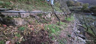 달맛햇복숭아농원님의 복숭아 · 영농일지 작성글 사진