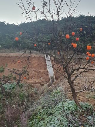 알 수 없음님의 자유주제 · 자유게시판 작성글 사진