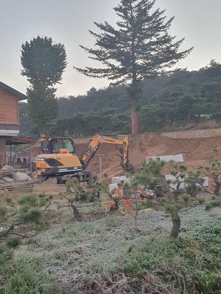 알 수 없음님의 자유주제 · 자유게시판 작성글 사진