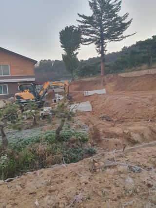 알 수 없음님의 자유주제 · 자유게시판 작성글 사진