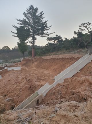 알 수 없음님의 자유주제 · 자유게시판 작성글 사진