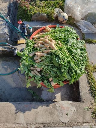 주옥님의 자유주제 · 자유게시판 작성글 사진