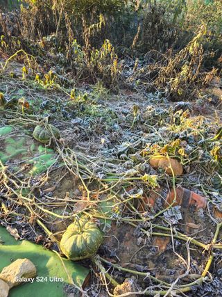 소병찬님의 자유주제 · 자유게시판 작성글 사진