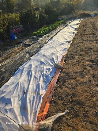 소병찬님의 자유주제 · 자유게시판 작성글 사진