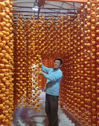 안태수님의 자유주제 · 자유게시판 작성글 사진