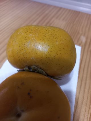 손장현님의 감 · 병해충상담 작성글 사진