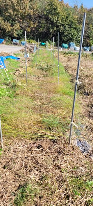 김정은님의 기타작물 · 영농일지 작성글 사진