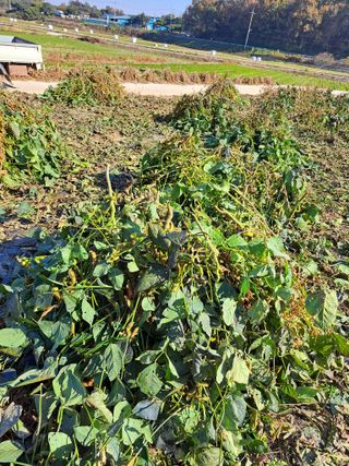 좋은인연원님의 자유주제 · 자유게시판 작성글 사진