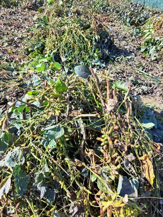 좋은인연원님의 자유주제 · 자유게시판 작성글 사진