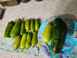 조정숙(1955)님의 자유주제 · 자유게시판 작성글 사진