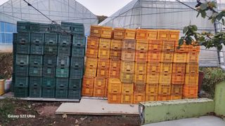 지켜본다님의 자유주제 · 자유게시판 작성글 사진