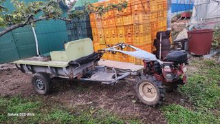 지켜본다님의 자유주제 · 자유게시판 작성글 사진