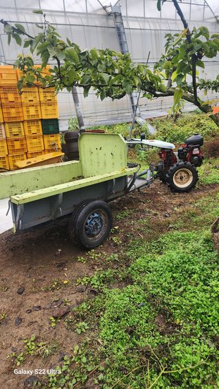 지켜본다님의 자유주제 · 자유게시판 작성글 사진