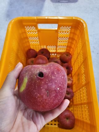 하늘아래사과나무님의 작성글 사진