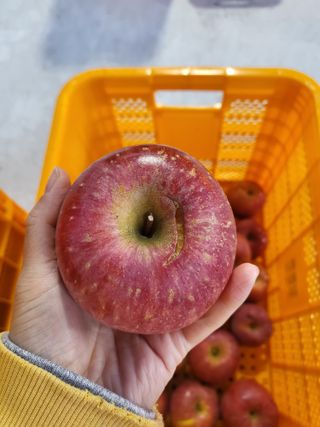 하늘아래사과나무님의 작성글 사진