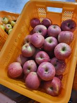 팜모닝 · 게시글 이미지