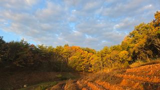 영월산지기148님의 자유주제 · 자유게시판 작성글 사진