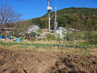 청산거사님의 자유주제 · 자유게시판 작성글 사진