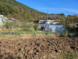 청산거사님의 자유주제 · 자유게시판 작성글 사진