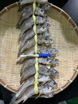 팜모닝 · 게시글 이미지