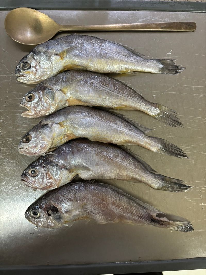 목포 물좋은수산님의 장터 판매 상품 [영광 파굴비] 첨부 사진