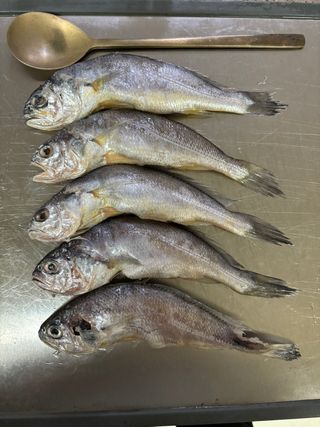 목포 물좋은수산님의 작성글 사진