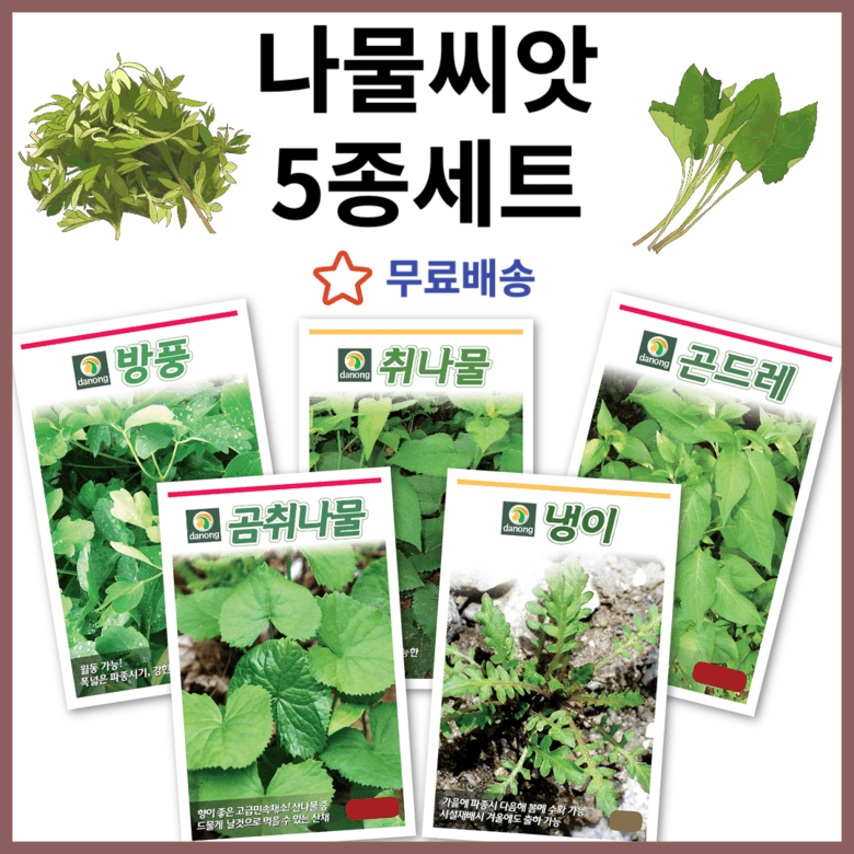 장터 상품 [나물씨앗 5종세트 냉이 곰취 취나물 곤드레 방풍 ] 썸네일