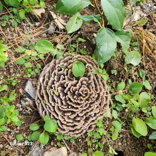 우리꽃님의 자유주제 · 자유게시판 작성글 사진