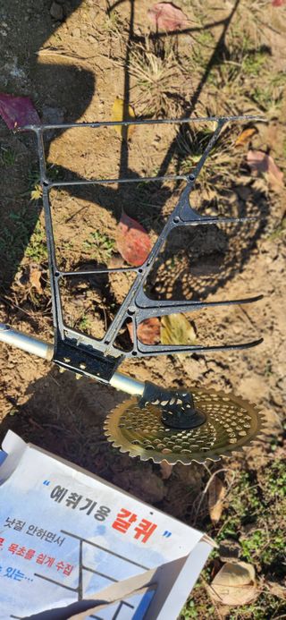 임원식님의 자유주제 · 자유게시판 작성글 사진