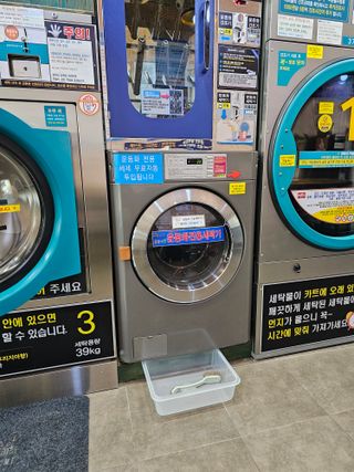 왕개미님의 자유주제 · 자유게시판 작성글 사진