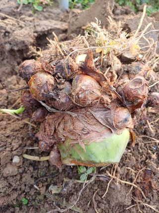 유영옥님의 자유주제 · 자유게시판 작성글 사진