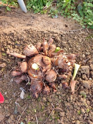 유영옥님의 자유주제 · 자유게시판 작성글 사진