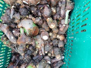 유영옥님의 자유주제 · 자유게시판 작성글 사진