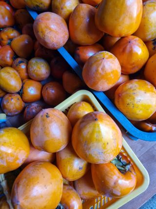 김용대님의 자유주제 · 자유게시판 작성글 사진