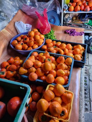 김용대님의 자유주제 · 자유게시판 작성글 사진