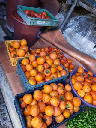 김용대님의 자유주제 · 자유게시판 작성글 사진