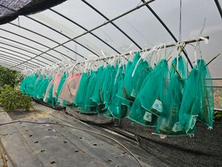 홍천산채농원님의 자유주제 · 자유게시판 작성글 사진