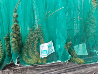 홍천산채농원님의 자유주제 · 자유게시판 작성글 사진