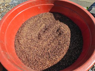 홍천산채농원님의 자유주제 · 자유게시판 작성글 사진