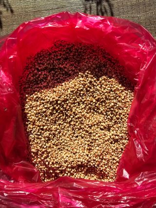 홍천산채농원님의 자유주제 · 자유게시판 작성글 사진